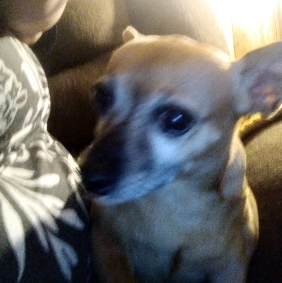 Meet your Posher, Audra - Picture 3 of 3